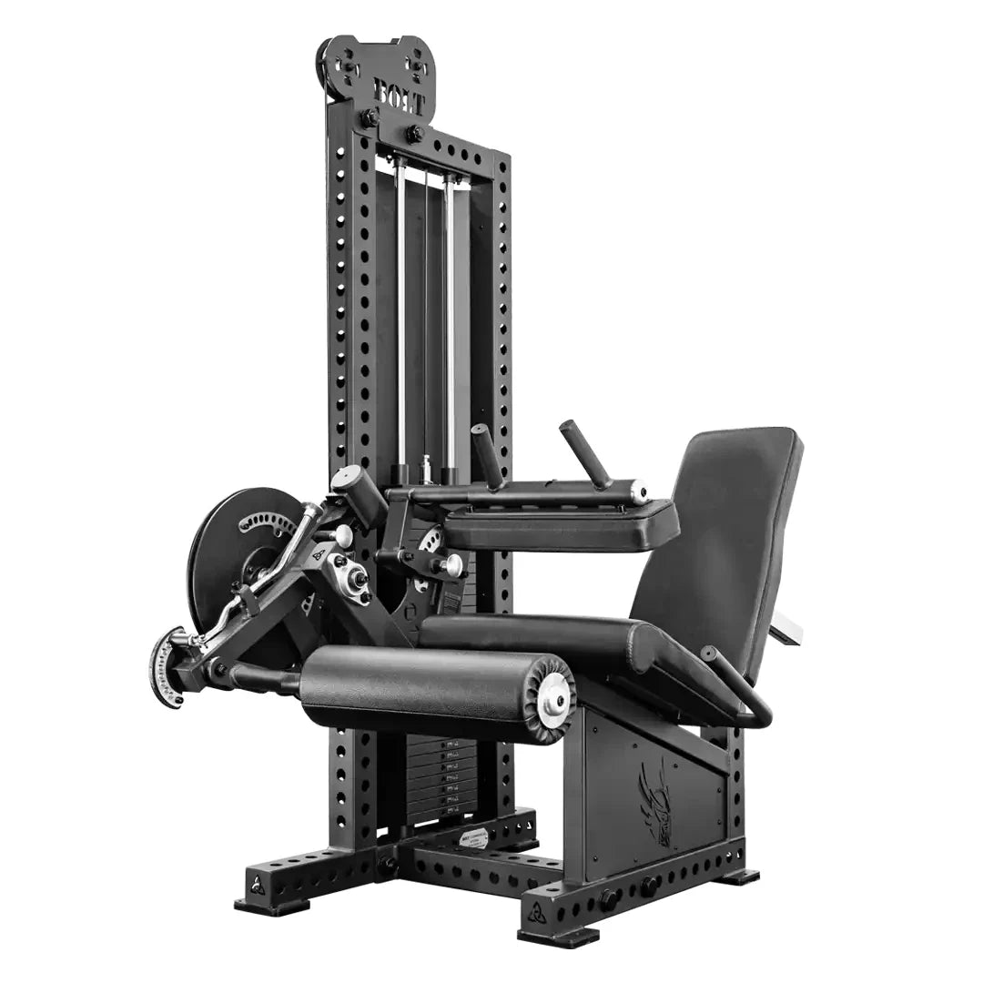 Lower Body (Selectorized)