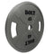 SURGE OLYMPIC CAST IRON WEIGHT PLATES GRAY (PAIRS)