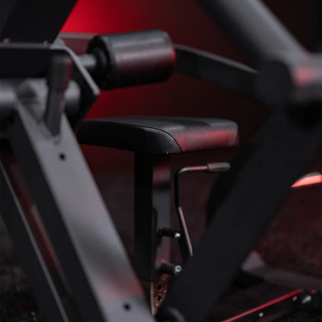 CLASSIC SERIES SPHINX PLATE LOADED SEATED DIP