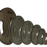 SURGE Olympic Cast Iron Weight Plates Set 245 Lb - Bolt Fitness Supply, LLC