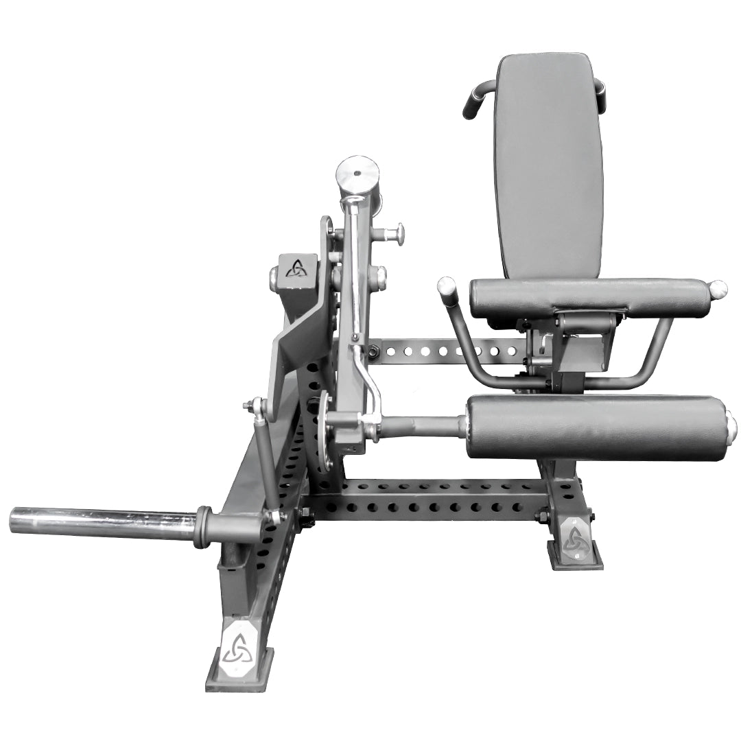 SINTIAN PLATE LOADED LEG EXTENSION PRONE LEG CURL COMBO